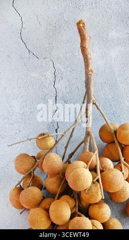 Ein Haufen frischer reifer Dimocarpus Longans mit Zweigen, süße Früchte isoliert auf Betonboden Hintergrund, Platz für Text Stockfoto