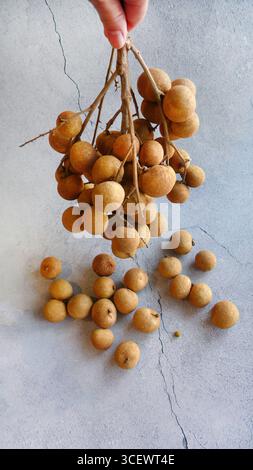 Ein Haufen frischer reifer Dimocarpus Longans mit Zweigen, süße Früchte isoliert auf Betonboden Hintergrund, Platz für Text Stockfoto