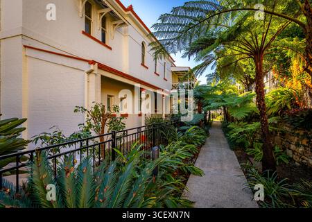 Brisbane, Australien: Das Yungaba House ist ein umgebautes Wohngebäude Stockfoto