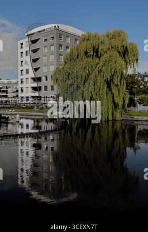Rote Fußgängerbrücke über einen ruhigen Kanal neben Wohnungen und einer großen Trauerweide, Reflexionen im Tageslicht in einem Wohngebiet von Amsterdam. Stockfoto