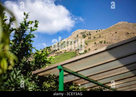 Palermo, italien 20. august 2025: Grünes Metalldach zum Schutz von Zitronenbäumen mit dem Berg monte pellegrino im Hintergrund, in palermo, italien Stockfoto