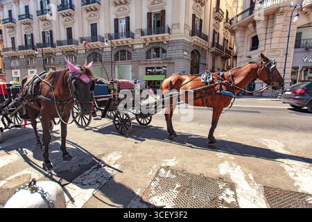 Palermo, italien 20. august 2025: Zwei Pferde, die eine traditionelle Kutsche ziehen, warten auf Touristen in palermo, sizilien Stockfoto
