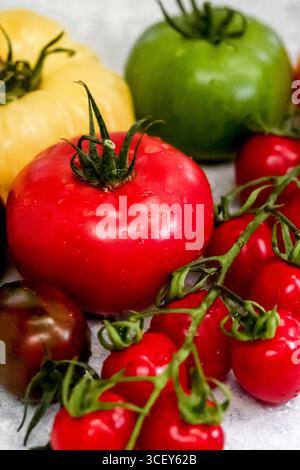 Eine Auswahl frischer reifer Tomaten, fotografiert auf einem rustikalen Hintergrund. Ideal für gesunde Ernährung, vegetarische Küche, mediterrane Rezepte Stockfoto