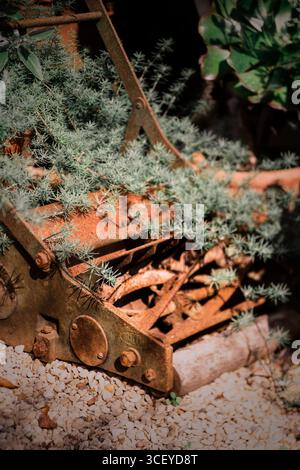 Verrosteter Rasenmäher im Eythrope Gardens, Buckinghamshire Stockfoto