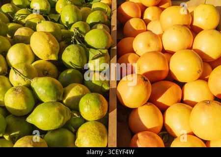 Frische grüne Zitronen und reife Orangen in Holzkisten bei hellem Sonnenlicht auf einem lokalen Bauernmarkt. Stockfoto