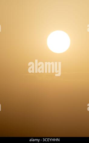 Golden Hour waschende Landschaft mit warmem, diffusem Sonnenlicht und trübem Himmel, der sanftes goldenes Licht über lebendiges, leuchtendes Gelände wirft Stockfoto
