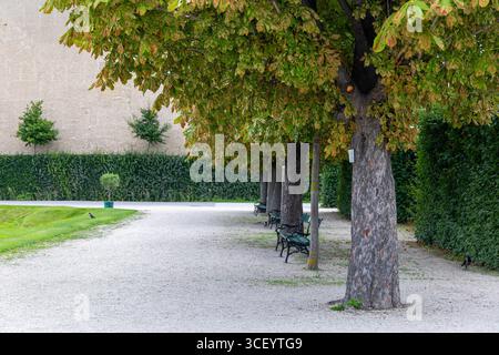 Schattiger Parkweg mit Bänken und Bäumen. Friedlicher, von Bäumen gesäumter Fußweg in einem Park mit leeren Bänken, grünem Laub und Kiesweg, ideal für Stockfoto