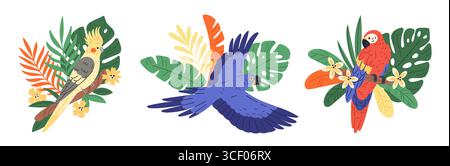 Tropische Papageien in Blättern. Exotische helle Wildvögel mit schönen Pflanzen und Blumen, Sommer Dschungel Kompositionen Design, Zeichentrickstil isoliert Stock Vektor