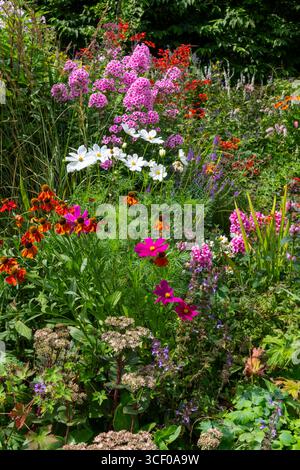 Englischer Gartenrand voller einjähriger und mehrjähriger Blüten im Spätsommer Stockfoto