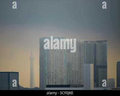 19. August 2025, Japan, Tokio: Wohn- und Geschäftshäuser in der japanischen Hauptstadt Tokio am Morgen. Foto: Soeren Stache/dpa Stockfoto