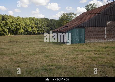Rustikale Scheune mit verwitterten grünen Türen auf einem Feld, das von Bäumen umgeben ist, erinnert an eine friedliche ländliche Szene Stockfoto