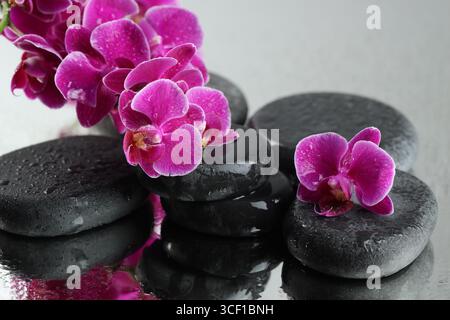 Wunderschöne Orchideenblumen, Wassertropfen und Steine auf Spiegeloberfläche, Nahaufnahme Stockfoto