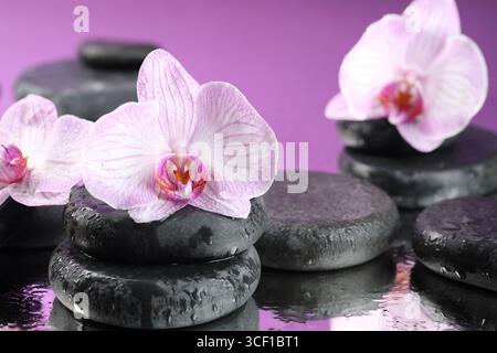 Wunderschöne Orchideenblumen, Wassertropfen und Spa-Steine auf Spiegeloberfläche, Nahaufnahme Stockfoto