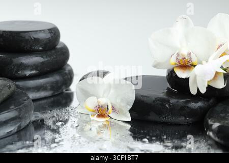 Wunderschöne Orchideenblumen, Wassertropfen und Spa-Steine auf Spiegeloberfläche, Nahaufnahme Stockfoto