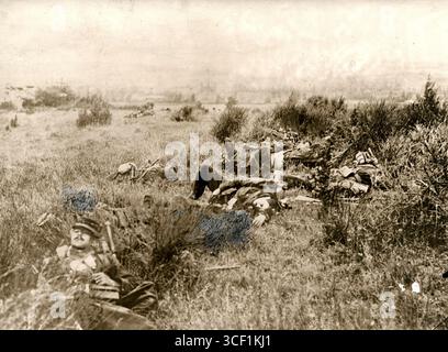 Gefallene Soldaten auf dem Schlachtfeld bei Charleroi, Belgien, nach der deutschen Invasion 1914. Das Foto zeigt die unmittelbaren Folgen des Konflikts. Stockfoto
