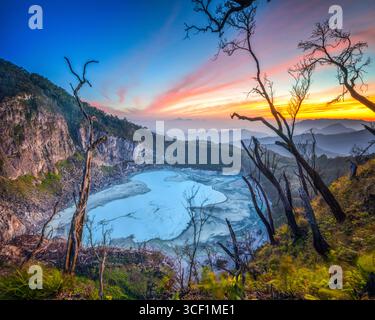 Erleben Sie den Zauber des morgens im Wald, wo das sanfte Licht der Sonne das üppige grüne Laub erhellt und eine ruhige und friedliche Atmosphäre schafft Stockfoto