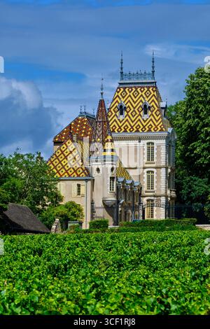 Frankreich, Côte-d'Or, Kulturlandschaft der Klimaten von Burgund, die von der UNESCO zum Weltkulturerbe erklärt wurden, Route der Grands Crus von Burgund, Weinberg von Stockfoto