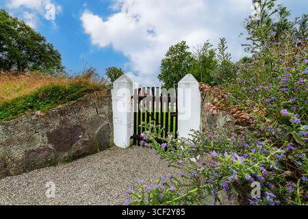 Alte Steinmauer mit weißen Säulen und Holztor umgeben von Sommerblumen in Bornholm, Dänemark. Rustikale ländliche Details mit historischem Charme. Stockfoto