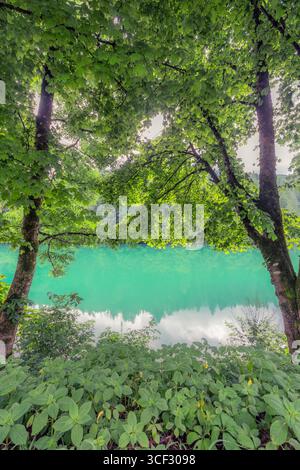 Blick auf den Centro Cadore Lake durch üppiges Frühlingsgrün entlang der bewaldeten Küste. Gelegen in Domegge di Cadore, Provinz Belluno, Region Veneto, Norditalien Stockfoto