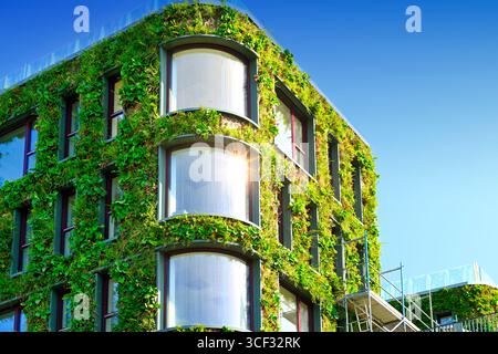 Haus mit grüner Fassade in der Hafencity Hamburg, Deutschland Stockfoto