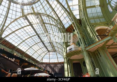Grand Palais in Paris, der Veranstaltungsort der Kunst Stockfoto