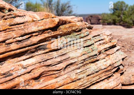 Nahaufnahme dünner Sandsteinschichten, die teilweise mit Flechten und Moosen bedeckt sind, entlang des Randes des Shafer Canyon im Canyonlands National bei Moab, Utah, U Stockfoto