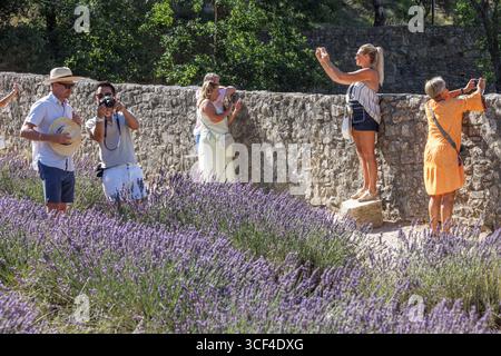Frankreich, Provence, Abbaye Notre-Dame de Senanque, Lavender Field und Touristen Stockfoto