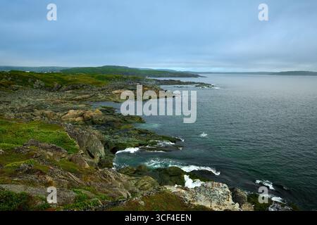 Felsiges Ufer des St. Anthony Harbor in der Nähe von St. Anthony, Neufundland. Stockfoto