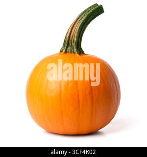 Einzelner runder orangefarbener Kürbis für Halloween isoliert auf weiß. Stockfoto