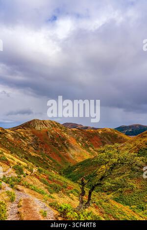 Sommerlandschaft des Carding Mill Valley im Long Mynd mit Green Hills, Walking Trail und dramatischem Wolkenhimmel in Shropshire England Stockfoto