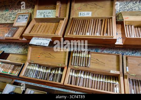 Miami Florida, Little Havana Viertel, 8th Street Calle Ocho, Viernes Culturales, Kulturfreitage, monatliche Veranstaltung, kubanische Hispanic, Top Zigarren Tabak Sho Stockfoto