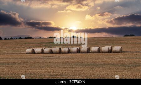 Bei Sonnenuntergang Ernten Stockfoto