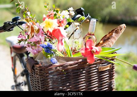 Fahrradtour mit Picknickkorb gefüllt mit Baguette, Wein und bunten Frühlingsblumen in einer sonnigen Uferlandschaft. Hintergrund für Urlaub und Freizeit. Stockfoto