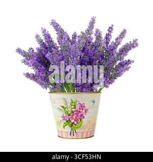 Zinn Vase mit Lavendel Blüten isoliert auf weißem Hintergrund. Stockfoto