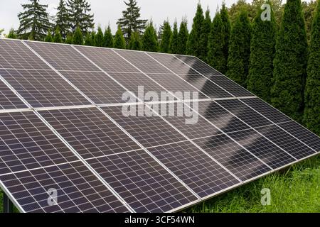Nahaufnahme einer modernen Photovoltaikanlage mit mehreren Panels auf einem Grasfeld, umgeben von immergrünen Waldplantagen. Das Konzept des Sust Stockfoto