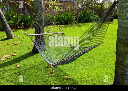 Hängematte hängen zwischen zwei Kokospalmen in der Nähe von Mokuleia Beach, Oahu, Hawaii, USA Stockfoto
