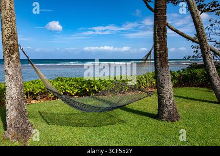 Hängematte hängen zwischen zwei Kokospalmen in der Nähe von Mokuleia Beach, Oahu, Hawaii, USA Stockfoto
