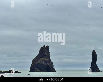 Basaltklippen vom schwarzen Sandstrand Reynisjfara in Vik. Stockfoto
