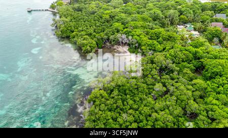 Atemberaubende Aussicht auf üppiges Grün und klares Wasser auf den Rosario-Inseln in der Nähe von Cartagena, Kolumbien. Stockfoto