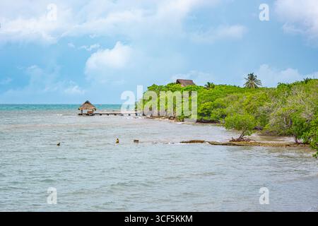 Ein ruhiger Blick auf die Insel Rosario in Cartagena, Kolumbien, mit üppigem Grün, ruhigem Wasser und einem hölzernen Pier. Stockfoto