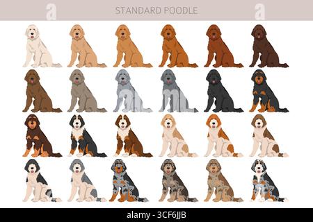 Standard-Pudel-Hunde-Clipart. Alle Lackfarben festgelegt. Vektorabbildung Stock Vektor