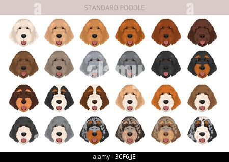 Standard-Pudel-Hunde-Clipart. Alle Lackfarben festgelegt. Vektorabbildung Stock Vektor