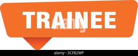 Orangefarbenes Schild des Trainee auf Transpatenthintergrund isoliert. Aufkleber für Trainee Stock Vektor