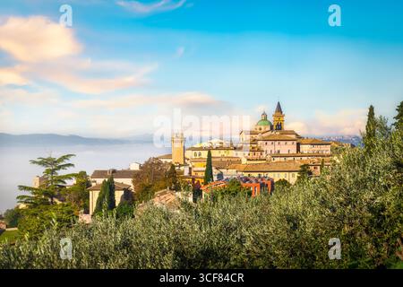 Trevi malerisches Dorf und Olivenbäume an einem nebeligen Morgen. Provinz Perugia, Region Umbrien, Italien, Europa Stockfoto