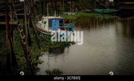 Verlassenes blaues Fischerboot, das an hölzernen Piers in einem ruhigen Fluss, umgeben von Wasserpflanzen, in ländlicher portugiesischer Umgebung befestigt ist. Stockfoto
