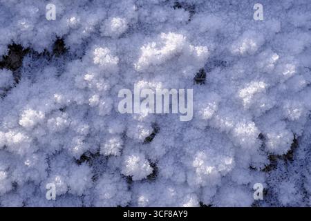 Schneekristalle im Winter auf der jungen Isar zwischen Wallgau und Vorderriss, Toelzer Land, Oberbayern, Bayern, Deutschland Stockfoto