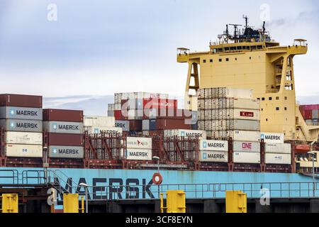 Containerschiff Maersk Luz im Überseehafen, Überseehäfen, Containerfrachtschiff, Bremerhaven, Bremen, Deutschland Stockfoto