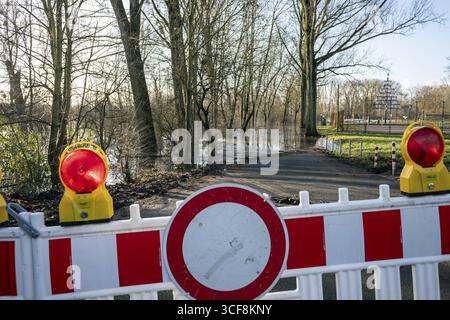 Überschwemmung des Rheins in der Urdenbacher Kaempe, Naturschutzgebiet, Schwemmboden, Straße wegen Überschwemmung gesperrt, Düsseldorf, Nordrhein-Westfalen, Keime Stockfoto