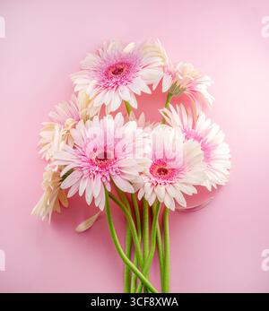 Rosa Gerbera Blumenstrauß auf rosa Hintergrund. Stockfoto