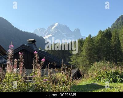 Von Le Buet bis Mont Buet: Wildblumen, Schmetterlinge und endlose Alpengipfel. Stockfoto